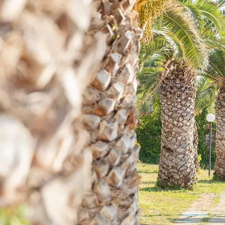 Il Poggio Di Tropea Villaggio Soft