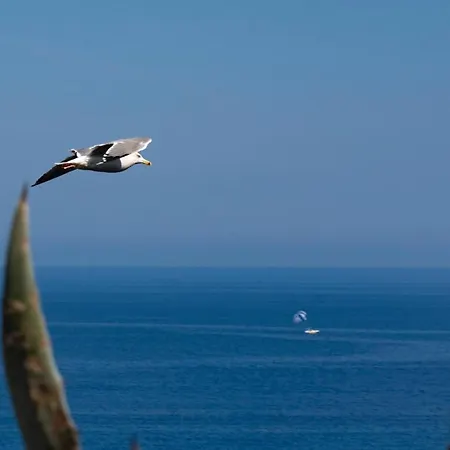Prázdninový areál Il Poggio Di Tropea Villaggio Soft 3*
