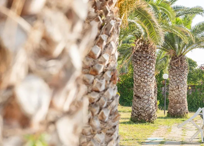 Il Poggio Di Tropea Villaggio Soft