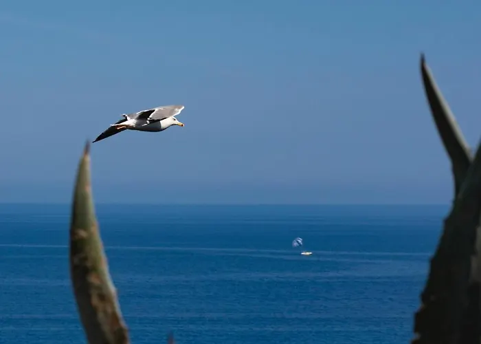Πάρκο διακοπών Il Poggio Di Tropea Villaggio Soft 3*